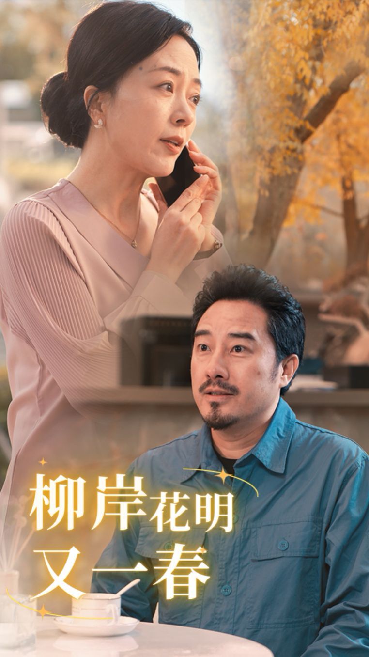 柳暗花明又一春封面