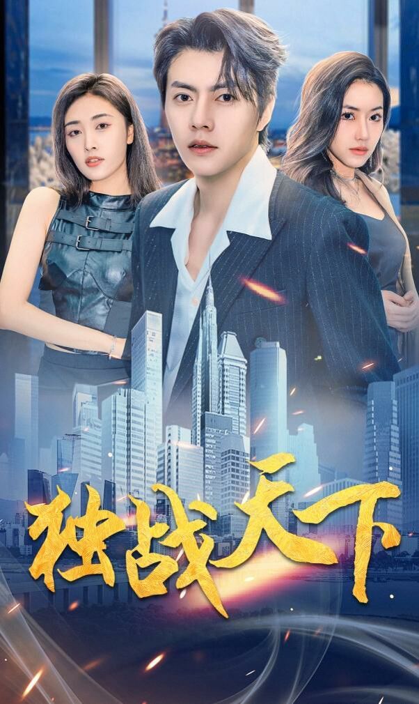 独战天下封面