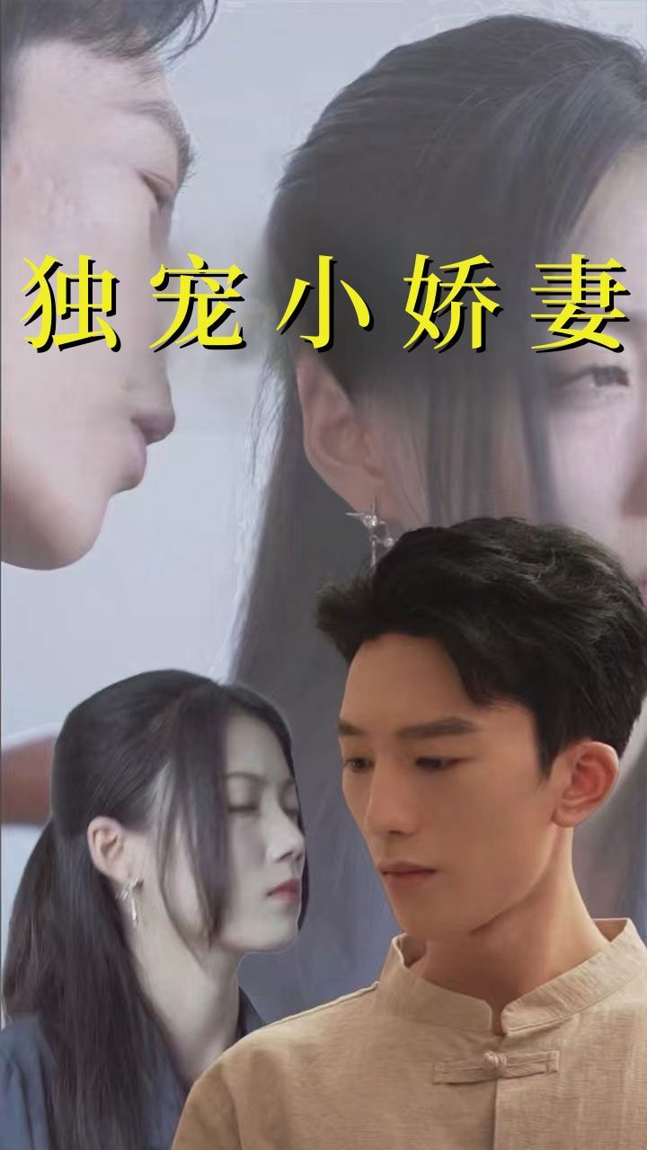 独宠小娇妻封面