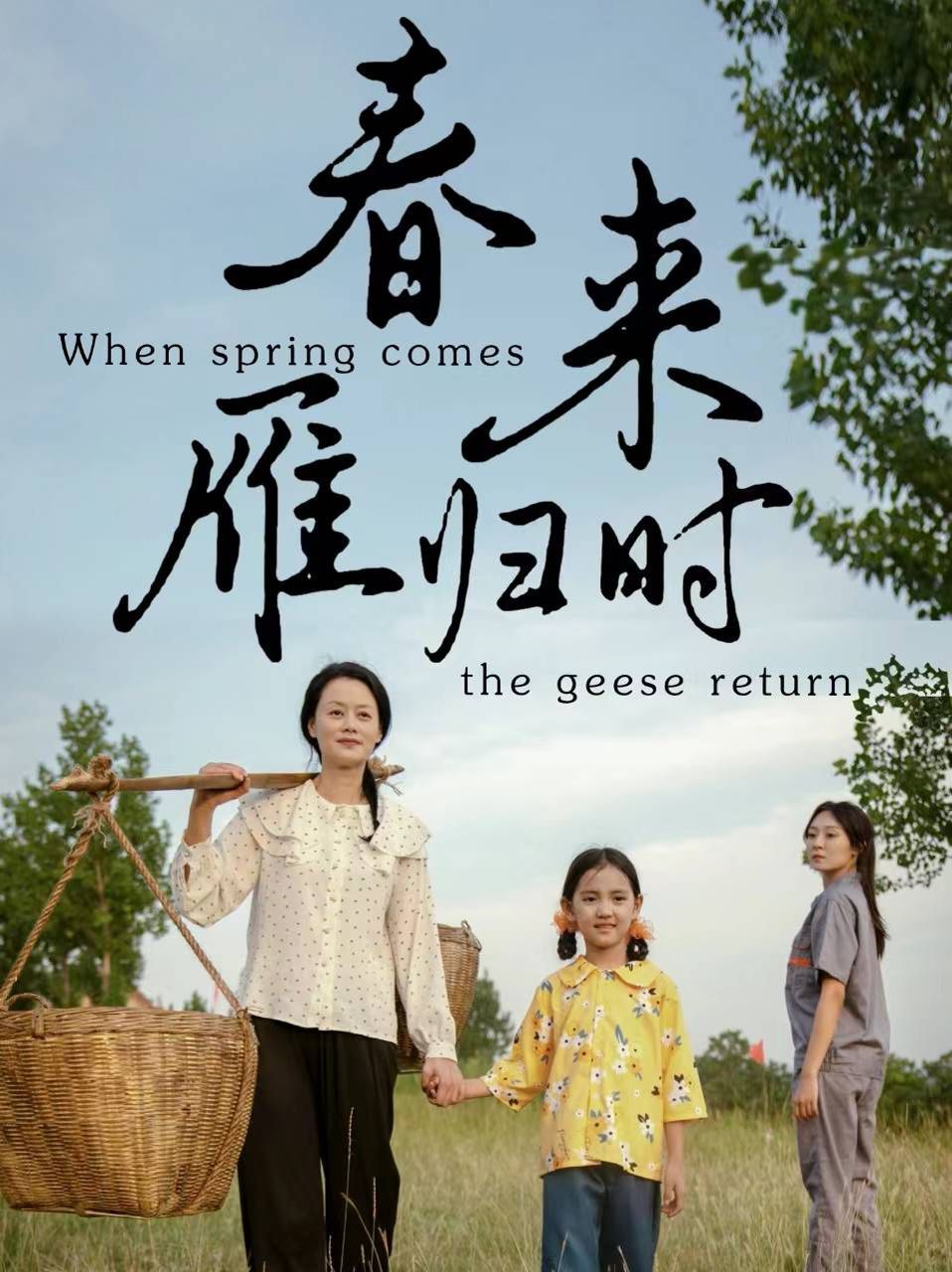 春来雁归时封面