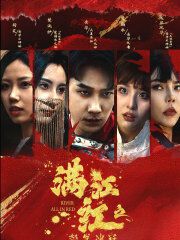 满江红之怒发冲冠封面