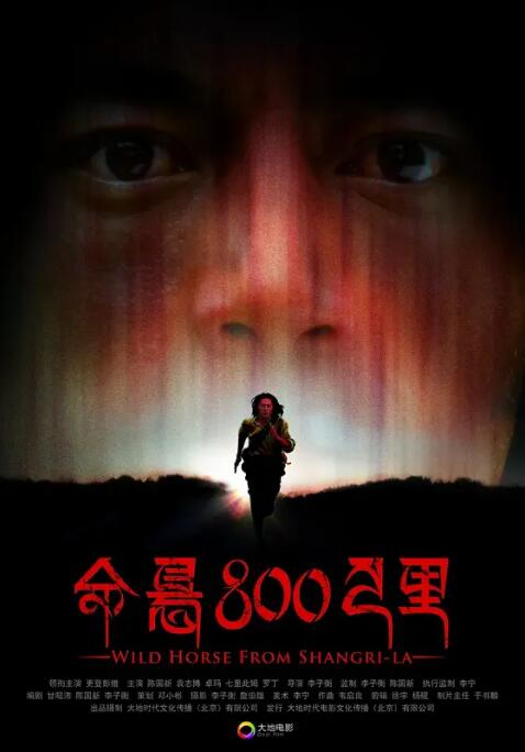 命悬800公里封面