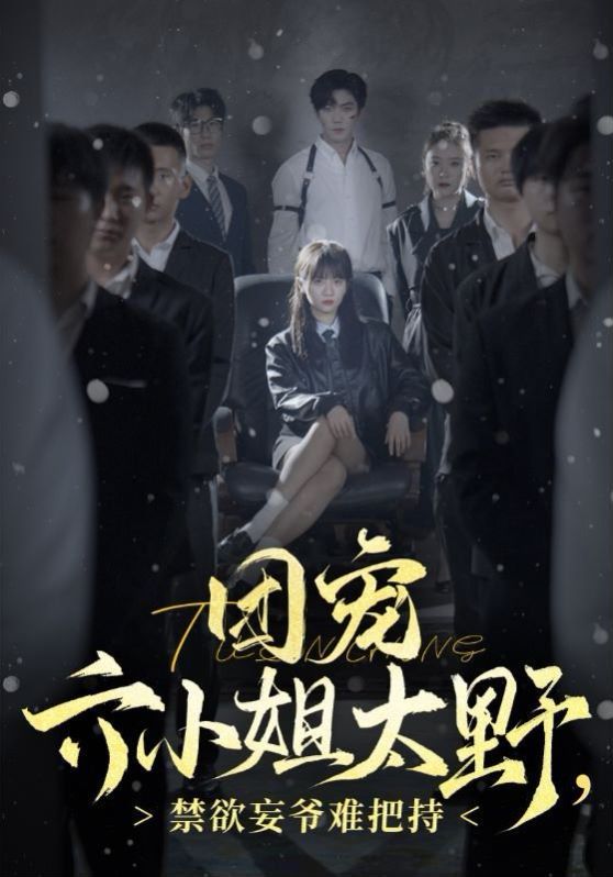 团宠六小姐太野，禁欲王爷难把持封面