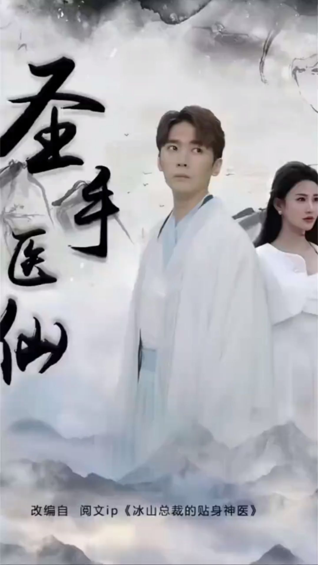 圣手医仙封面