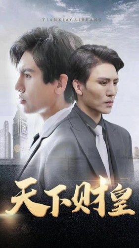 天下财皇封面
