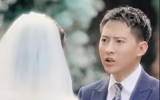逆袭刘公子归来封面
