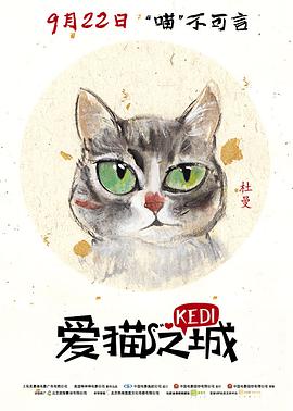 爱猫之城封面