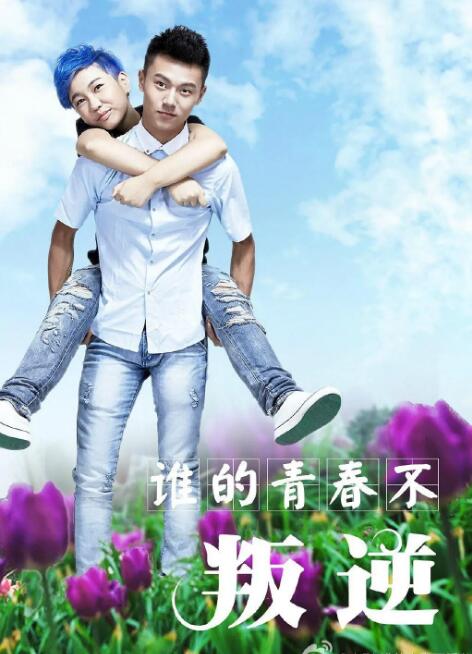 谁的青春不叛逆封面