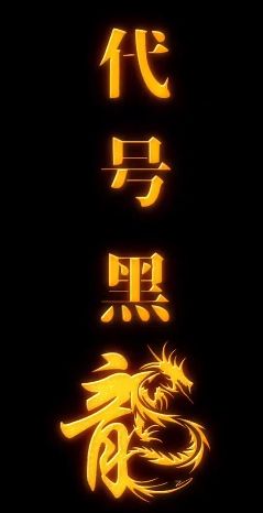 代号黑龙封面