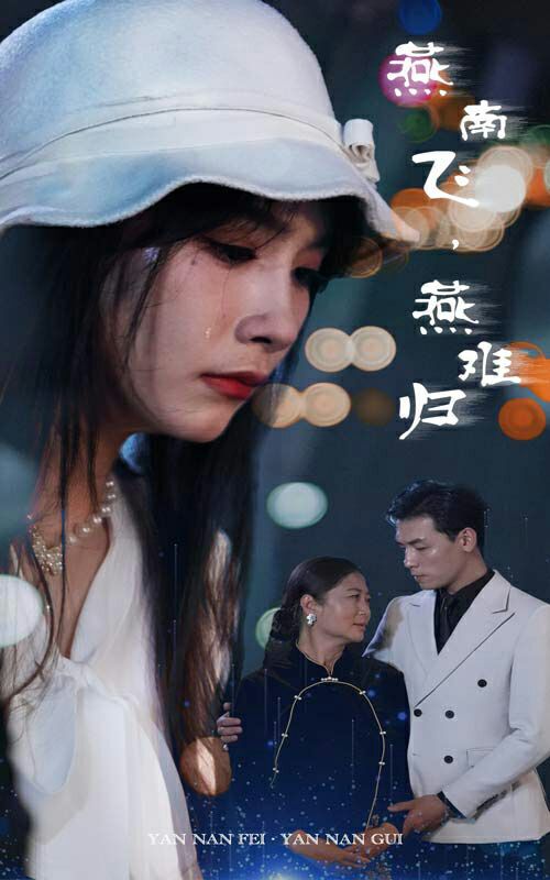 燕南飞，燕难归封面