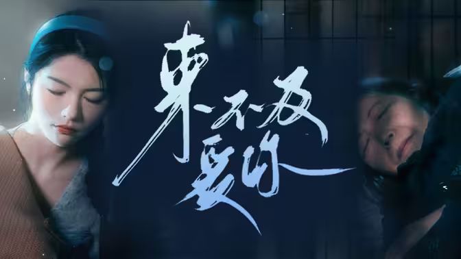 来不及爱你封面