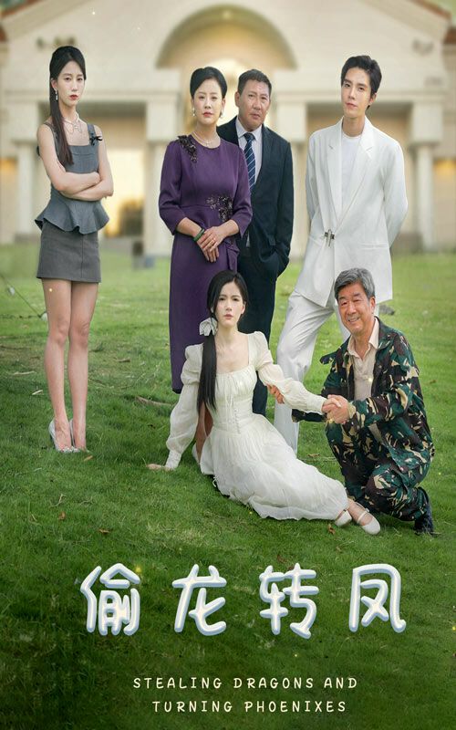 偷龙转凤封面