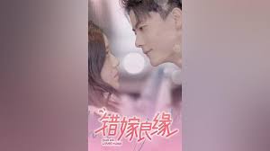 错嫁良缘封面