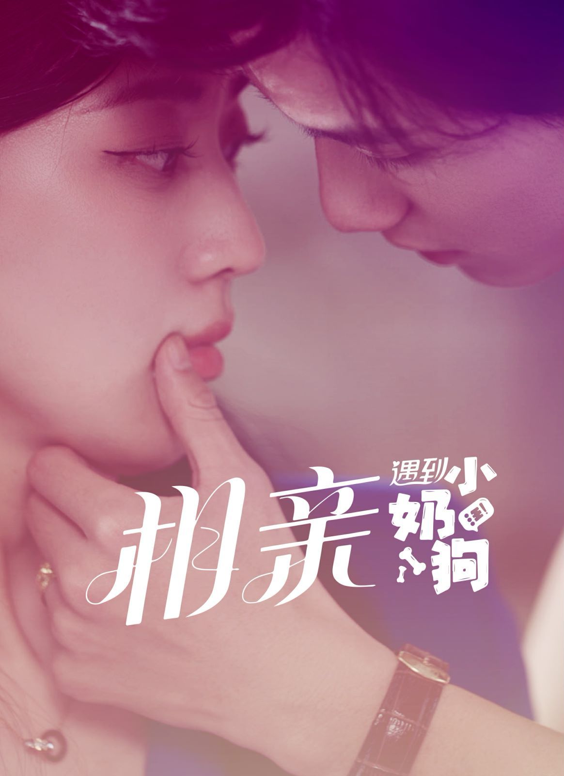 相亲遇到小奶狗封面