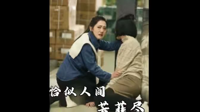 恰似人间芳菲尽封面