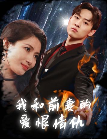 我和前妻的爱恨情仇封面