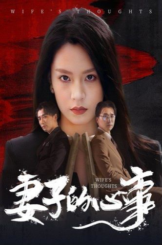 妻子的心事封面