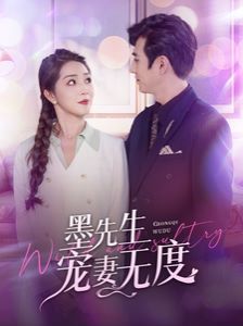 墨先生宠妻无度封面