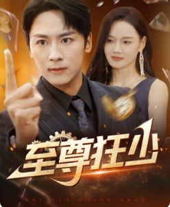 至尊狂少封面