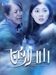 飞鸟归山封面