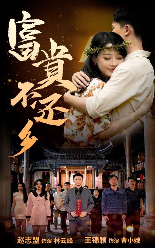 富贵不还乡封面