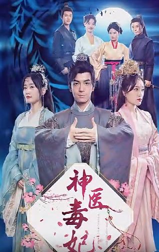 神医毒妃封面