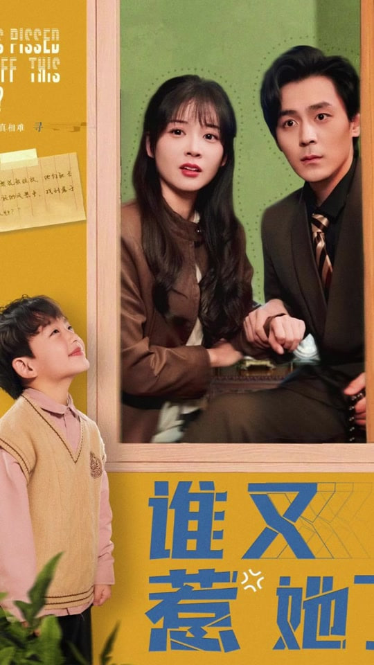 谁又惹她了封面