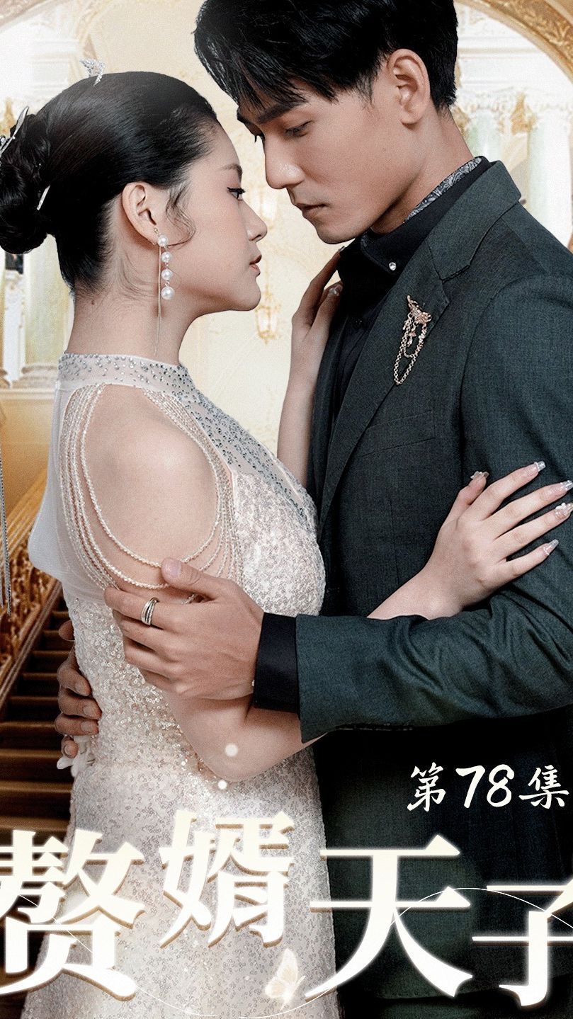 赘婿天子封面