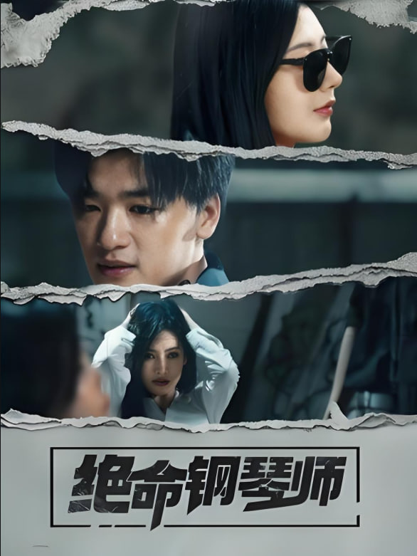 绝命钢琴师封面