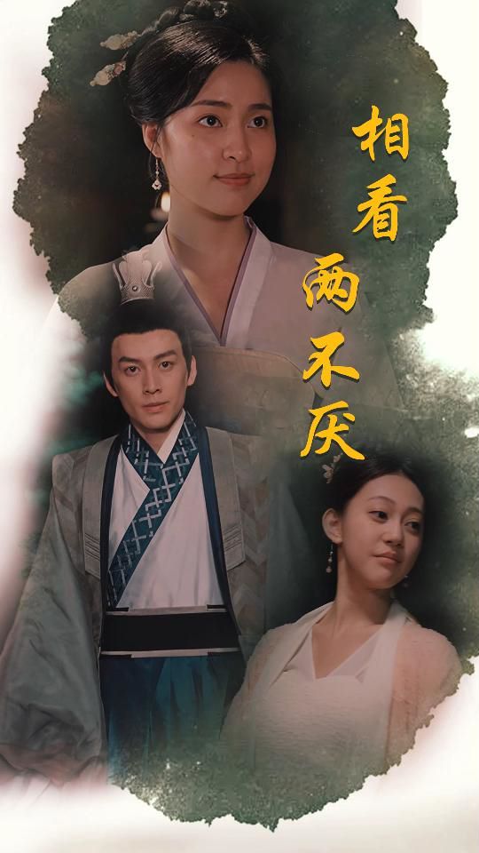 相看两不厌(这个王妃不好惹)封面