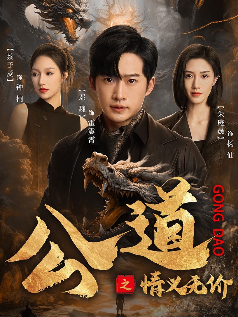 公道之情义无价封面