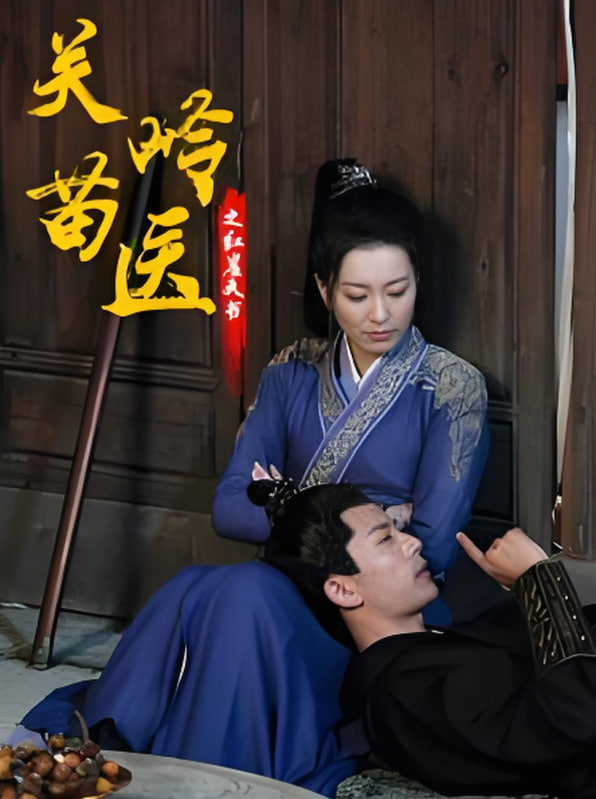关岭苗医之红崖天书封面