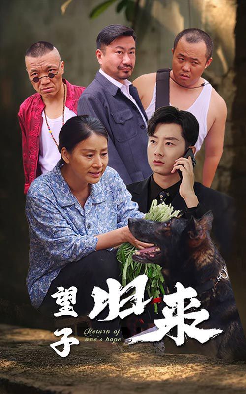望子归来封面