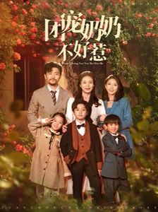 团宠奶奶不好惹封面
