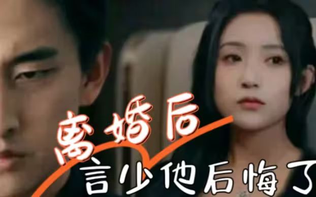 离婚后，言少他后悔了封面