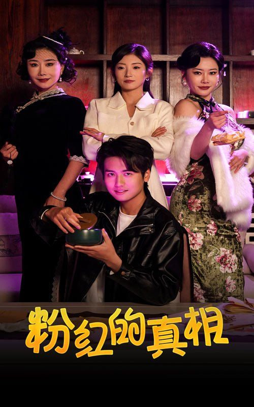 粉红的真相封面