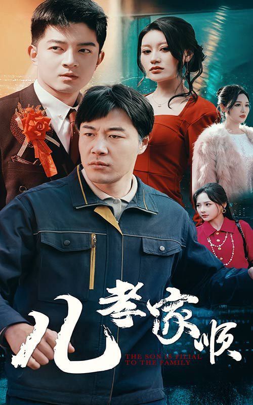 儿孝家顺封面