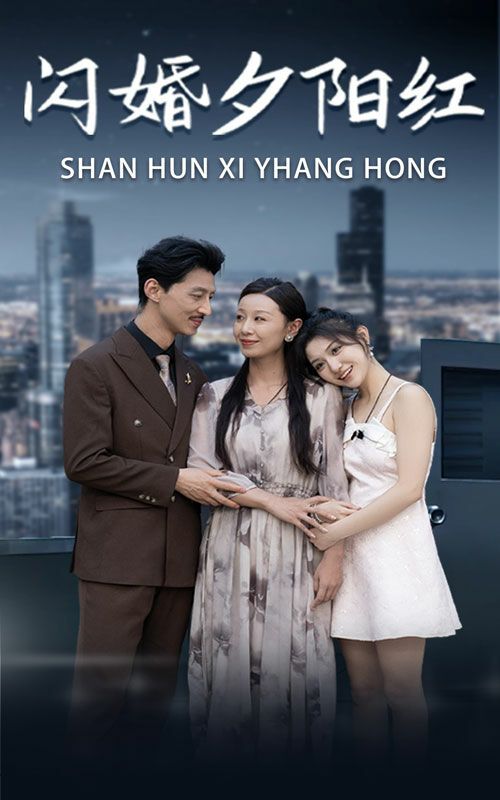 闪婚夕阳红封面