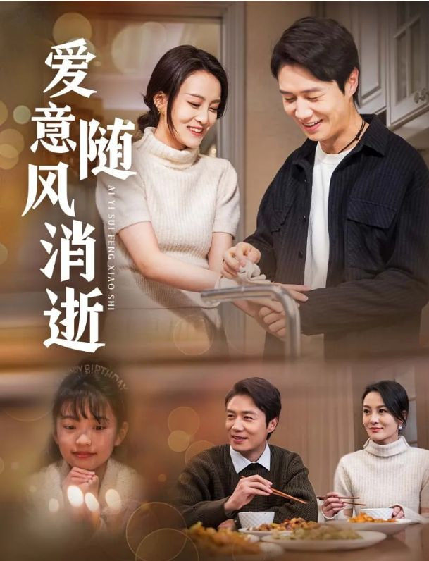 爱意随风消逝封面