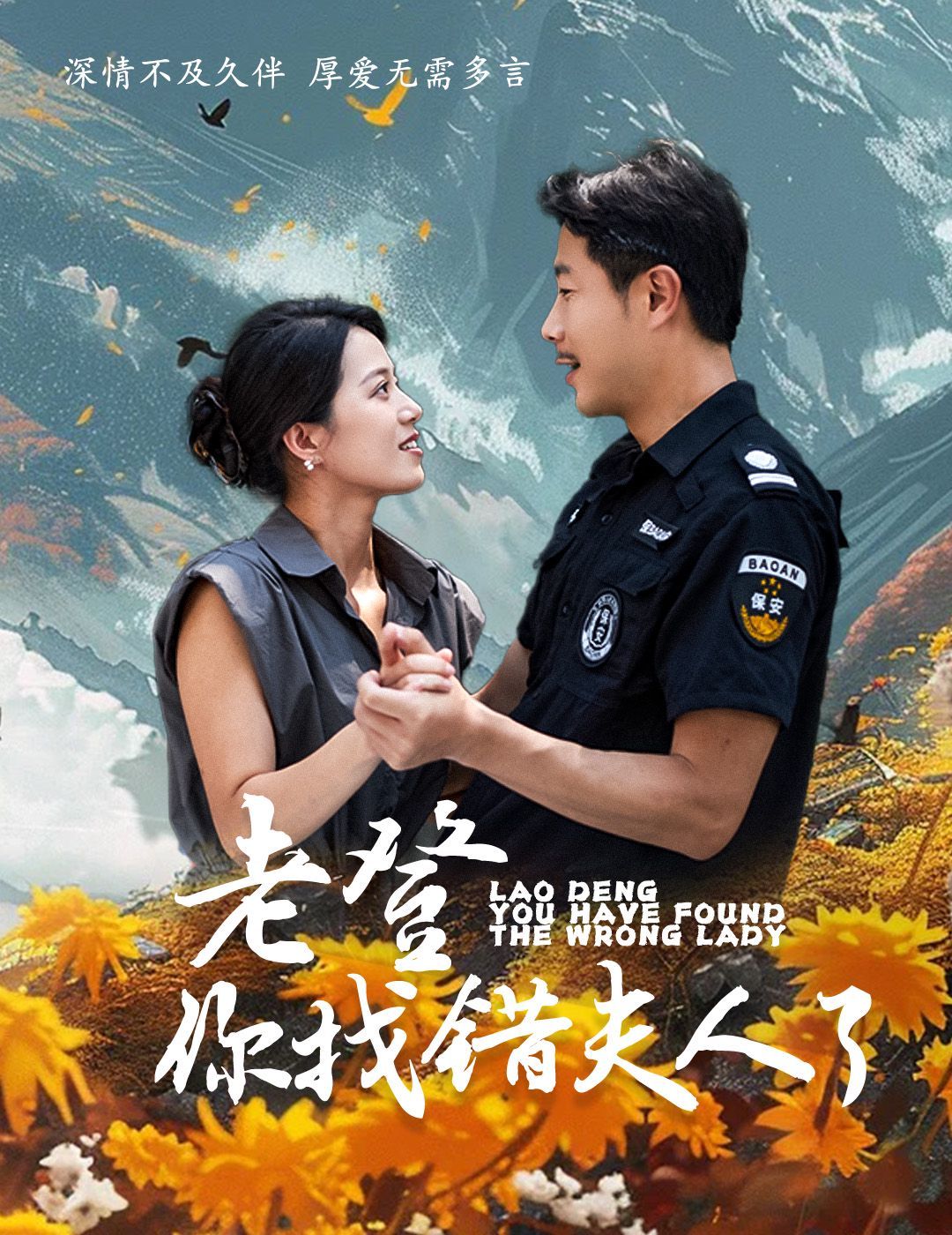 老登你找错夫人了封面