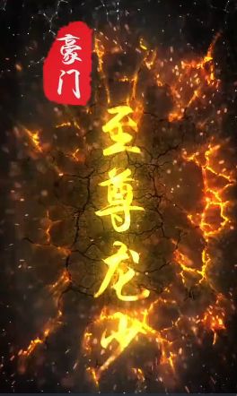 豪门至尊龙少封面