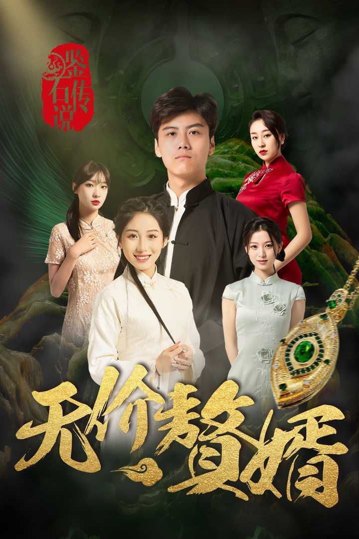 鉴宝传说之无价赘婿封面