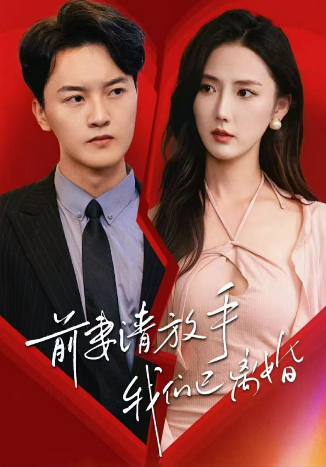 前妻请放手，我们已离婚封面