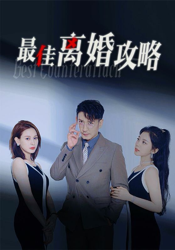 最佳离婚攻略封面