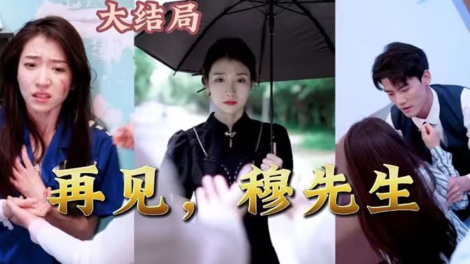 再见，穆先生封面