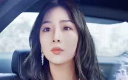 女总裁还乡又美又飒封面