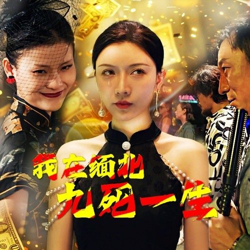 我在缅北九死一生封面