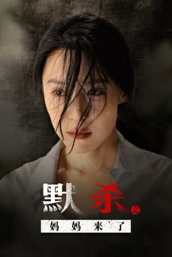 默杀之妈妈来了封面