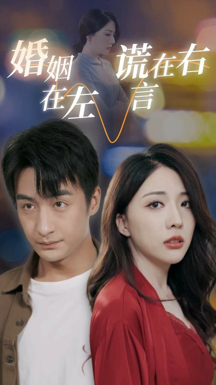 婚姻在左谎言在右封面