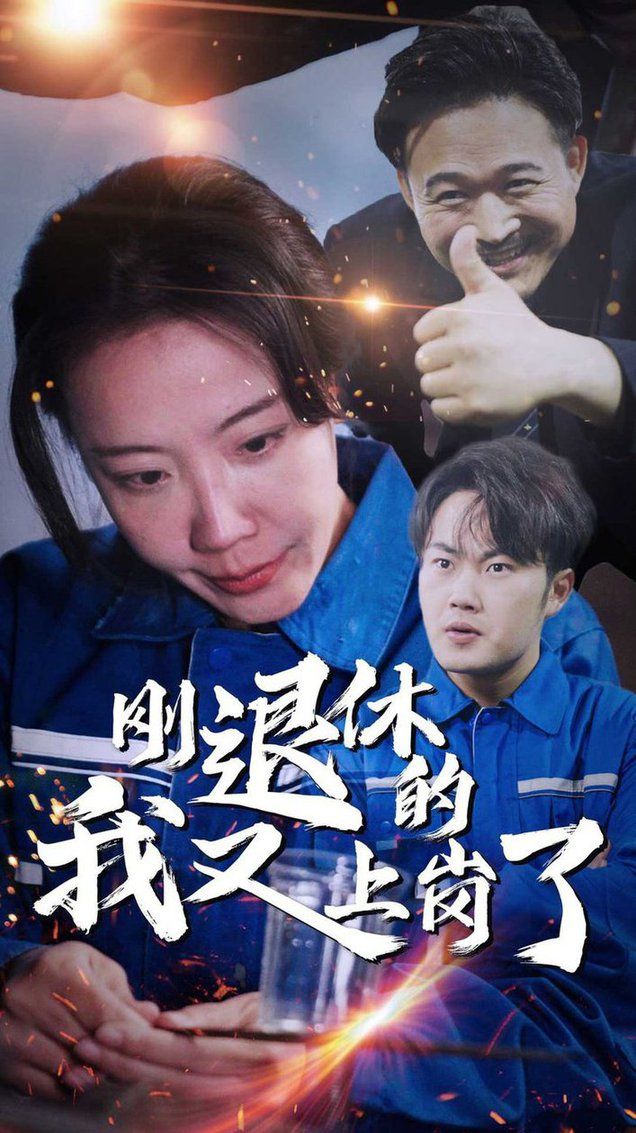 刚退休的我又上岗了封面